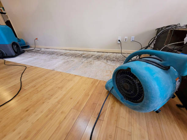 Professional Structural Drying technician working in Water Mill, NY